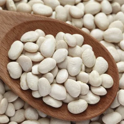 Fagiolo Phaseolus vulgaris - baccelli