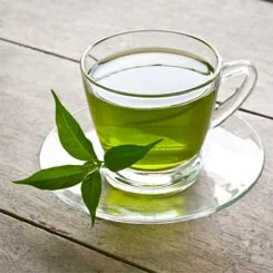 Foglie di tè verde Camellia sinensis